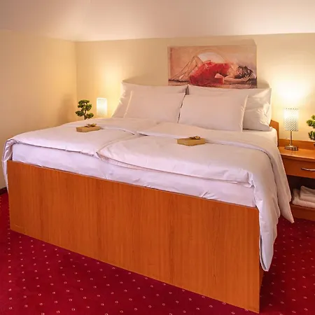 Hotell Kamelia Žilina